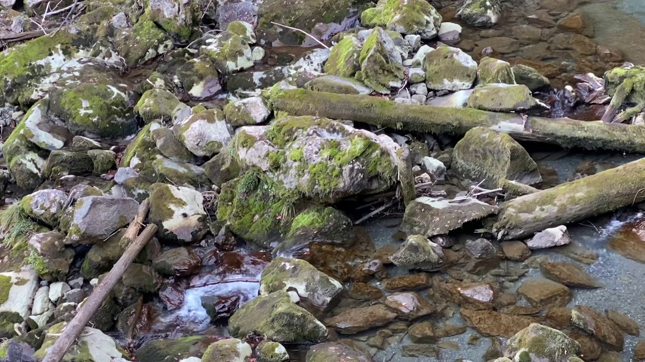 Switzerland: Giessbach Waterfall - Wasserfall Giessbach