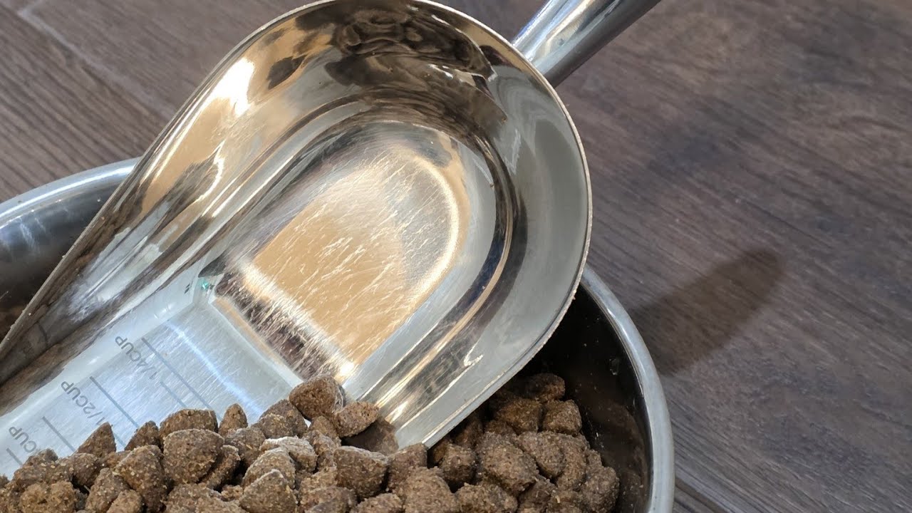 I Was Tired of Guessing Portions… This Scoop Fixed It 🐶 | Review