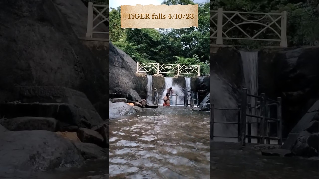 TiGER falls 4/10/23