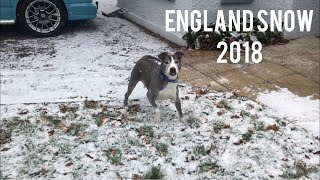 Snow In England Beast From The East 1