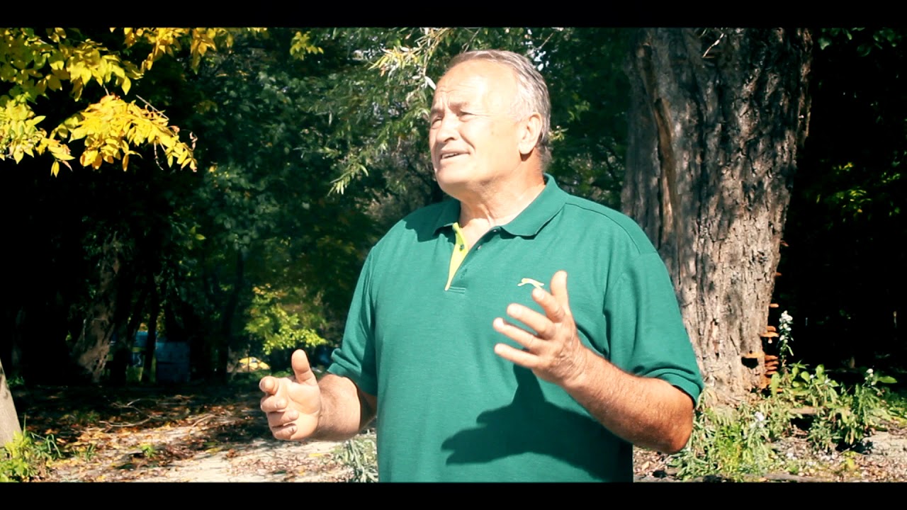 Branko Čulić Vukovarac - CETINA I DUNAV (Official video)