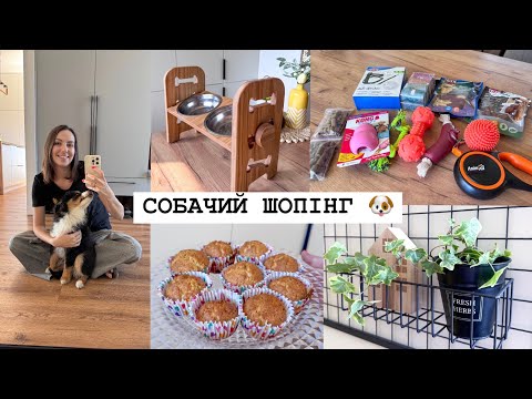 Поповнення СОБАЧОГО АРСЕНАЛУ 🥰 Перша поїздка в АВТО 🐶 ІДЕЇ смачних СНІДАНКІВ 👍