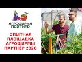 ОПЫТНАЯ ПЛОЩАДКА АГРОФИРМЫ ПАРТНЁР 2020