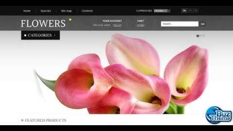 Download Blooming Flowers PrestaShop Theme by  Delta TM