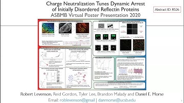 Tunable Assembly of Cephalopod Reflectin Proteins