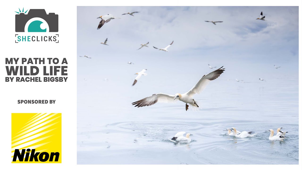 My Path To A Wild Life by Rachel Bigsby