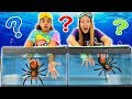 WHAT'S IN THE BOX CHALLENGE UNDERWATER!!