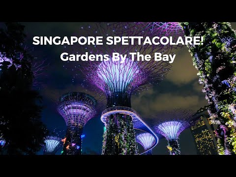 Video: Come Visitare I Giardini Di Singapore Sulla Baia In Un Giorno