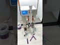 Ice Pop Packing Machine