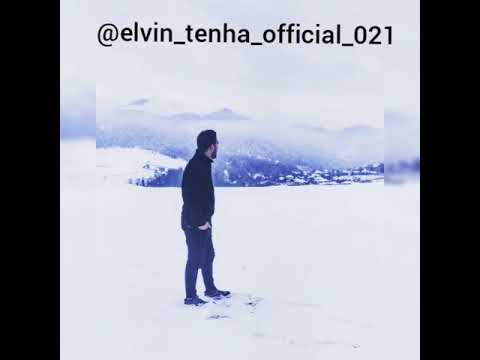 elvin tenha yeni   qəzəl 🎤