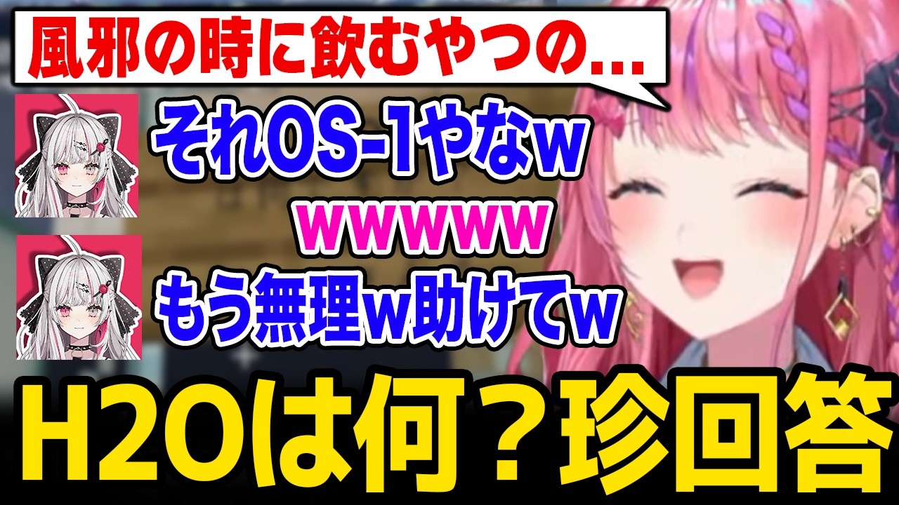 【あらなみマイクラ】めるちの珍回答レベルがやばすぎて腹筋崩壊する石神ｗ【にじさんじ】