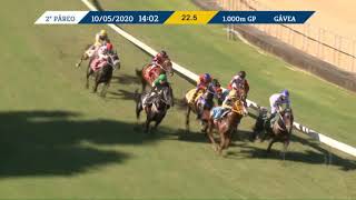 Vidéo de la course PMU PREMIO BOLD RULER