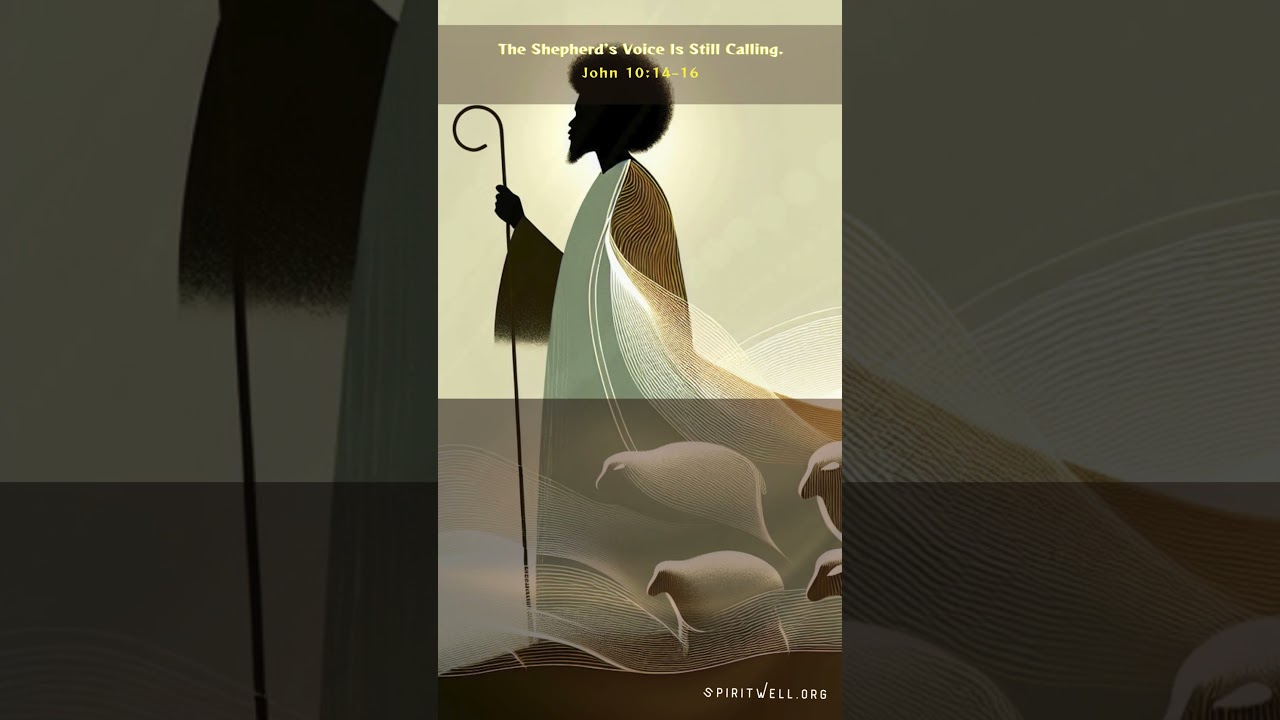 My Sheep Hear My Voice... Do You?