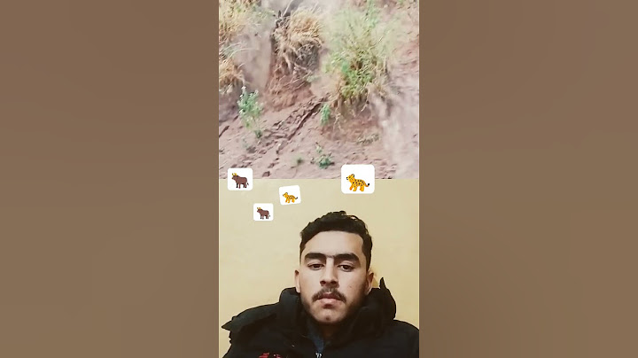 Hyena chases wildebeest off a cliff...🐂🐂😥🐆🐆🐯🫶👍