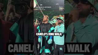 CANELO&#39;S RING WALK 🤩🔥