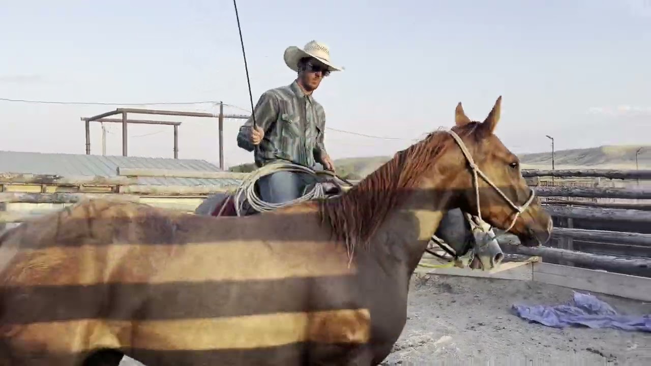 Kelsey 2025 Pitchfork Ranch Horse Sale Consignment