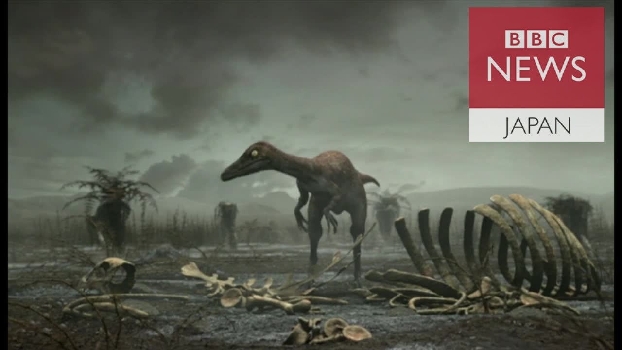 恐竜絶滅は小惑星衝突のせいではない 英研究者らが新説 Youtube