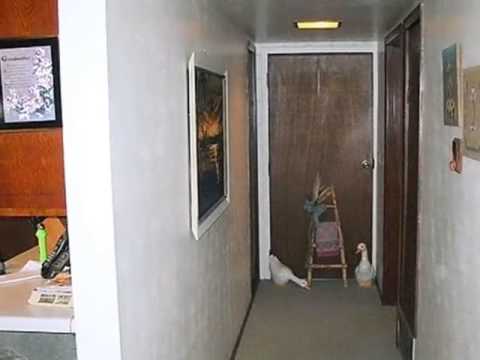 500 E Cedar St, Farmington, NM home video tour