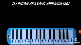 Dj entah apa yang merasukimu versi ...