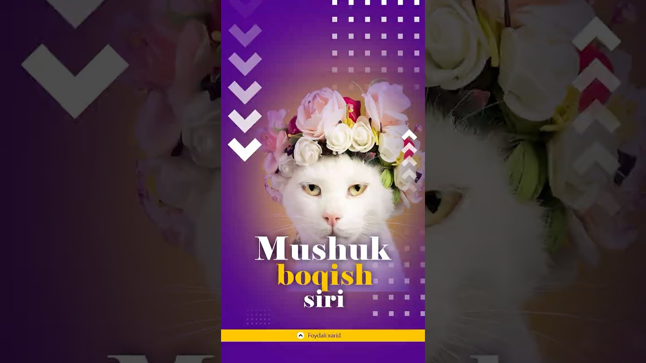 Porno yulduzlar bilan anal jinsiy aloqa Anjelina Kastro uchlik porno