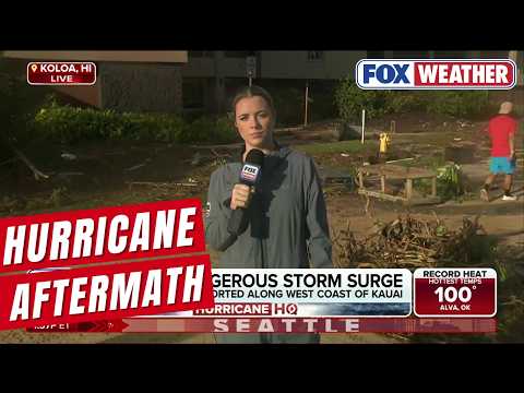 Damage Left Behind In Hawaii After Hurricane Lowell Makes Rare Direct Hit