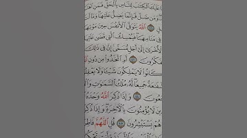 سورة الزمر #سورة_الزمر #القرآن_الكريم #قرآن #تلاوة_خاشعة بصوت #محسن_کردستانی