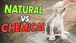 Why Natural Cleaning Products are Safer for Pets & Environment