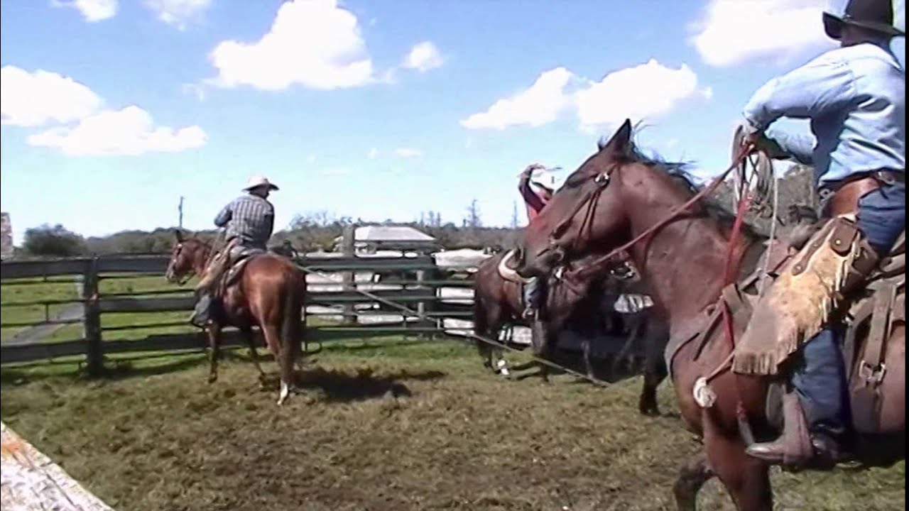 Hagan Ranch Horses 2014 Hickory Branding YouTube