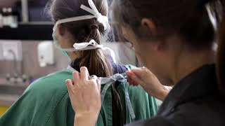Where can a Bachelor of Veterinary Technology from UQ take you?
