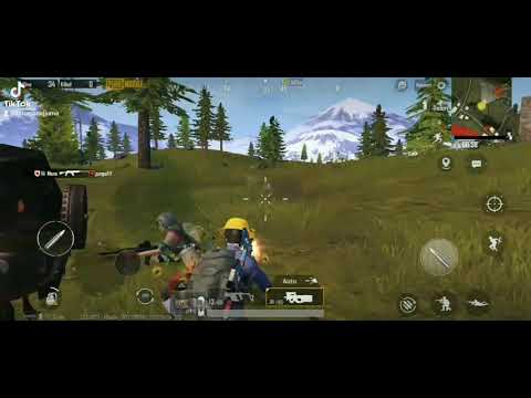 درجة حرارة شون بول وكيفية البقاء على قيد الحياة