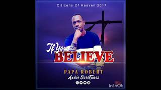 IF YOU BELIEVE OFFICIAL AUDIO BY PAPA ROBERT AND SYLVIA (2017 audio)
