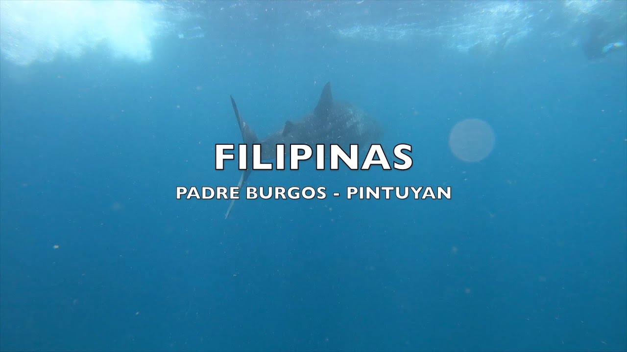 FILIPINAS (PARTE II) Padre Burgos - Pintuyan - Tiburón Ballena| maletax