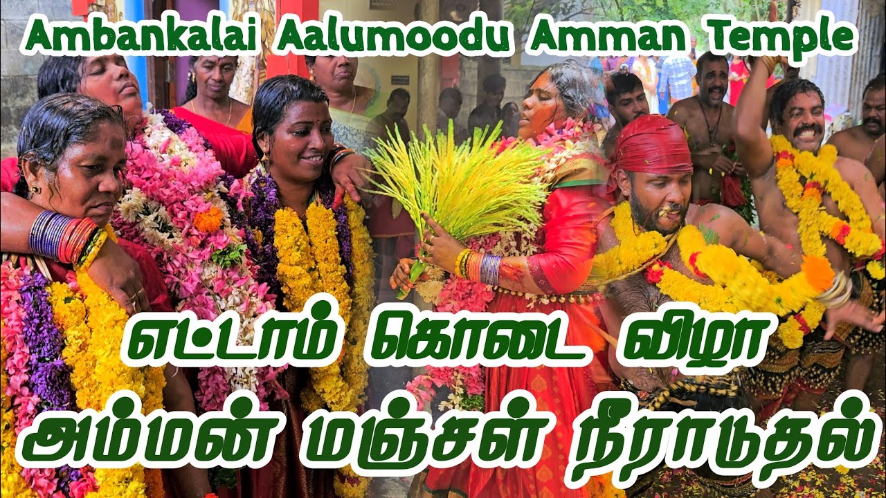 Ambankalai Sree Aalumoodu Amman Temple Festival 2024 | எட்டாம் கொடை விழா அம்மன் மஞ்சள் நீராடுதல்