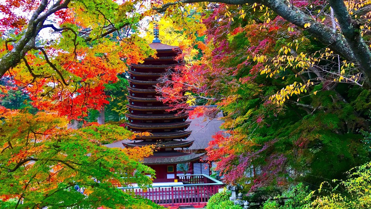 談山神社 Clubdues