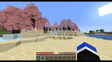 Minecraft But There are custom biomes!