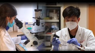 The Heart Beat Student Interns Explore Molecular Cardiology at THI