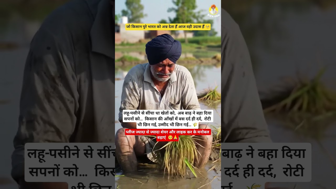 "Punjab Flood 2025 😢 किसान की बरबाद फसल | Heart Touching Scene"