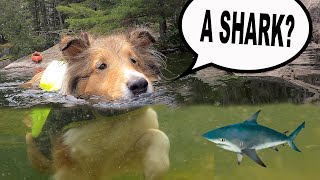 'A SHARK!' 🦈 Boys Camping Trip Day 2! by Burke BunchTV 3,671 views 2 years ago 10 minutes, 9 seconds