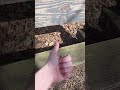 Surface Check: Old Park Bench