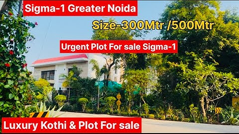 Sigma 1 Greater Noida Sector Urgent Plot For sale Near By Pari Chowk Luxury sector &Luxury plot