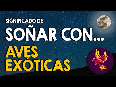 ¿Qué significa soñar con aves? 🐦 Soñar con aves exóticas y carroñeras 🐦