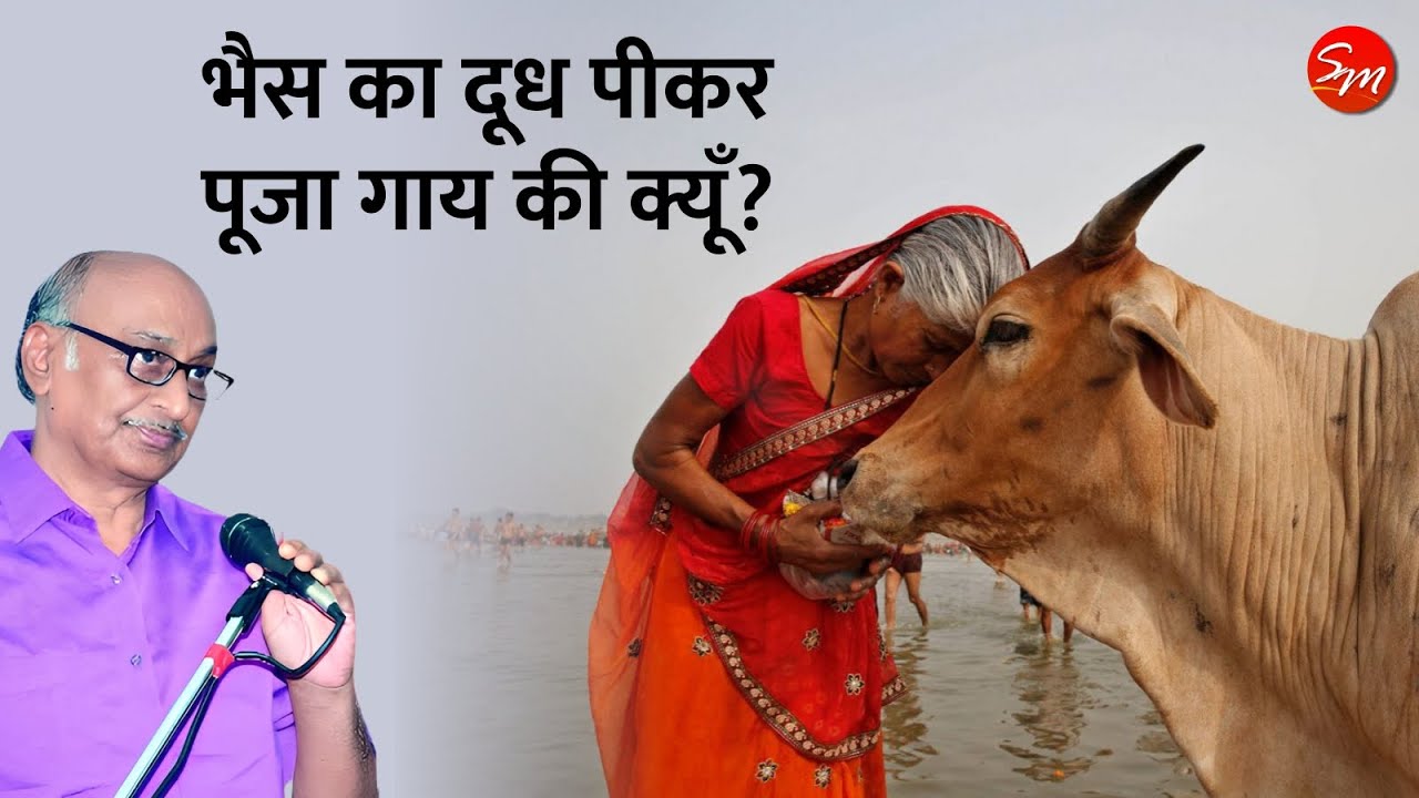 Why We Worship Cow When Most Indians Why We Worship Cow When Most Indians