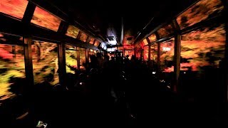 叡山電鉄 市原～二ノ瀬間「もみじのトンネル」きらら車内より 　Tunnel of the maples, Eizan Railway, Kyoto　(2019.11)