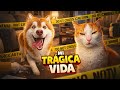 Mi Trágica Vida Conviviendo con una Husky – Temporada 1 (Compilación) 😼🦊