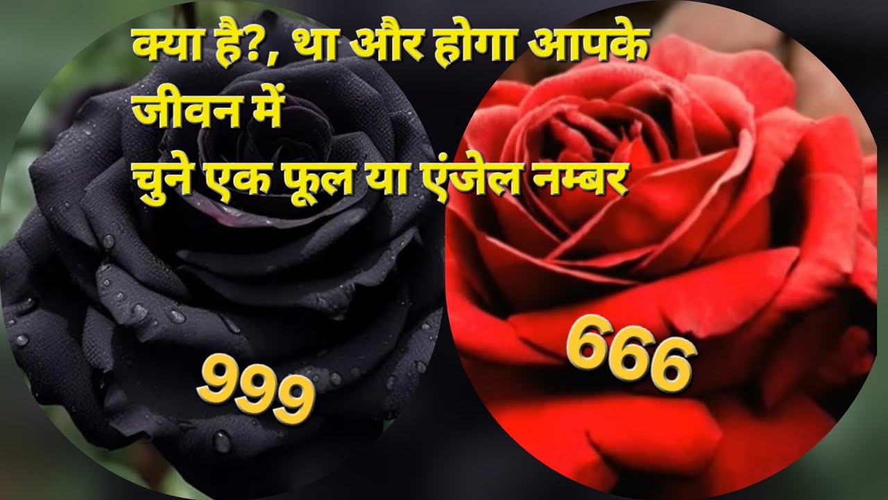 क्या था है और होगा आपके जीवन में 🌈🌈💔💗