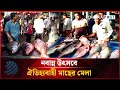 নবান্ন উৎসবে ঐতিহ্যবাহী মাছের মেলা | Fish Fair | Dhakapost News