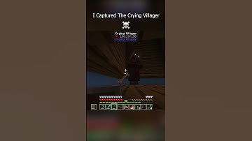 I Added The Crying Villager To One Block Skyblock #minecraft