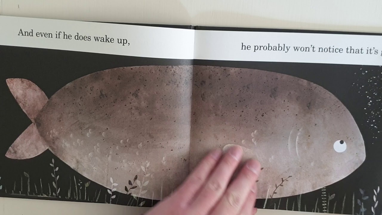 This is not my hat YouTube