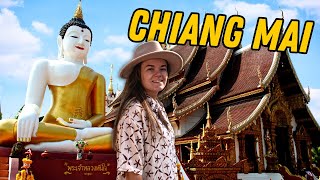 Guide to CHIANG MAI's Old Town! | Thailand Travel Vlog 2024