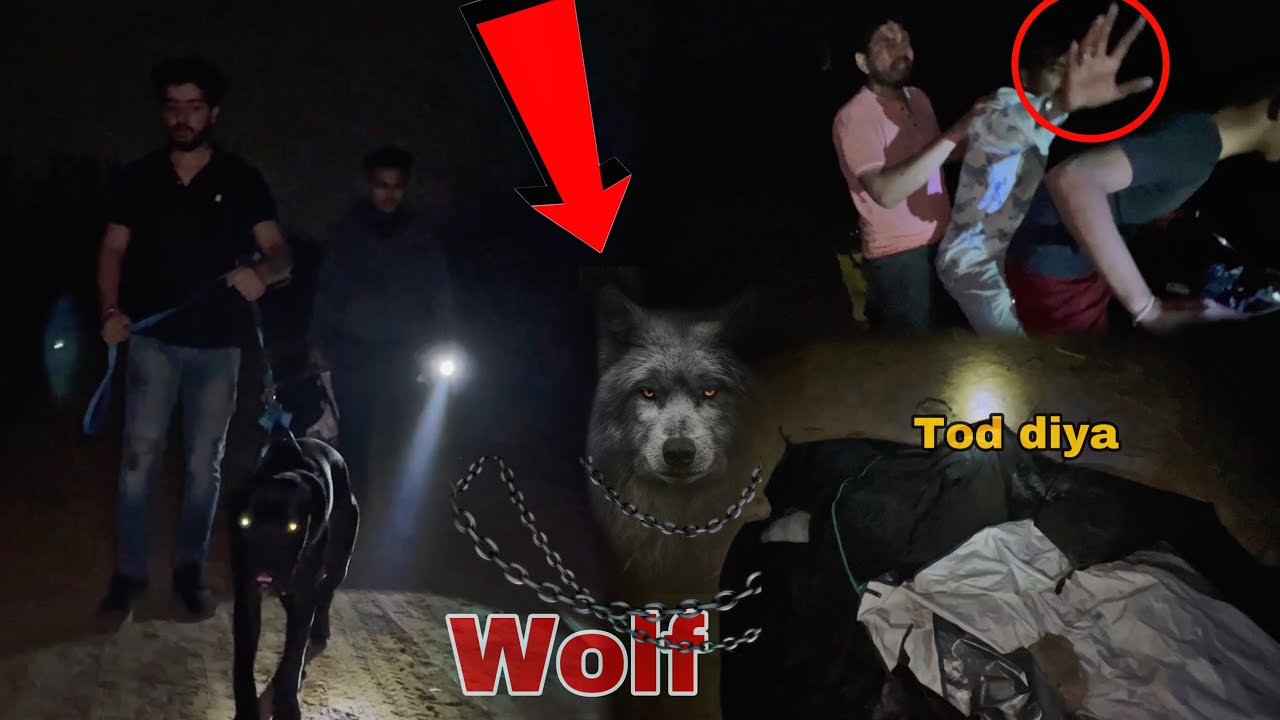 OMG Junglee ab safe nahi raha 😨😳